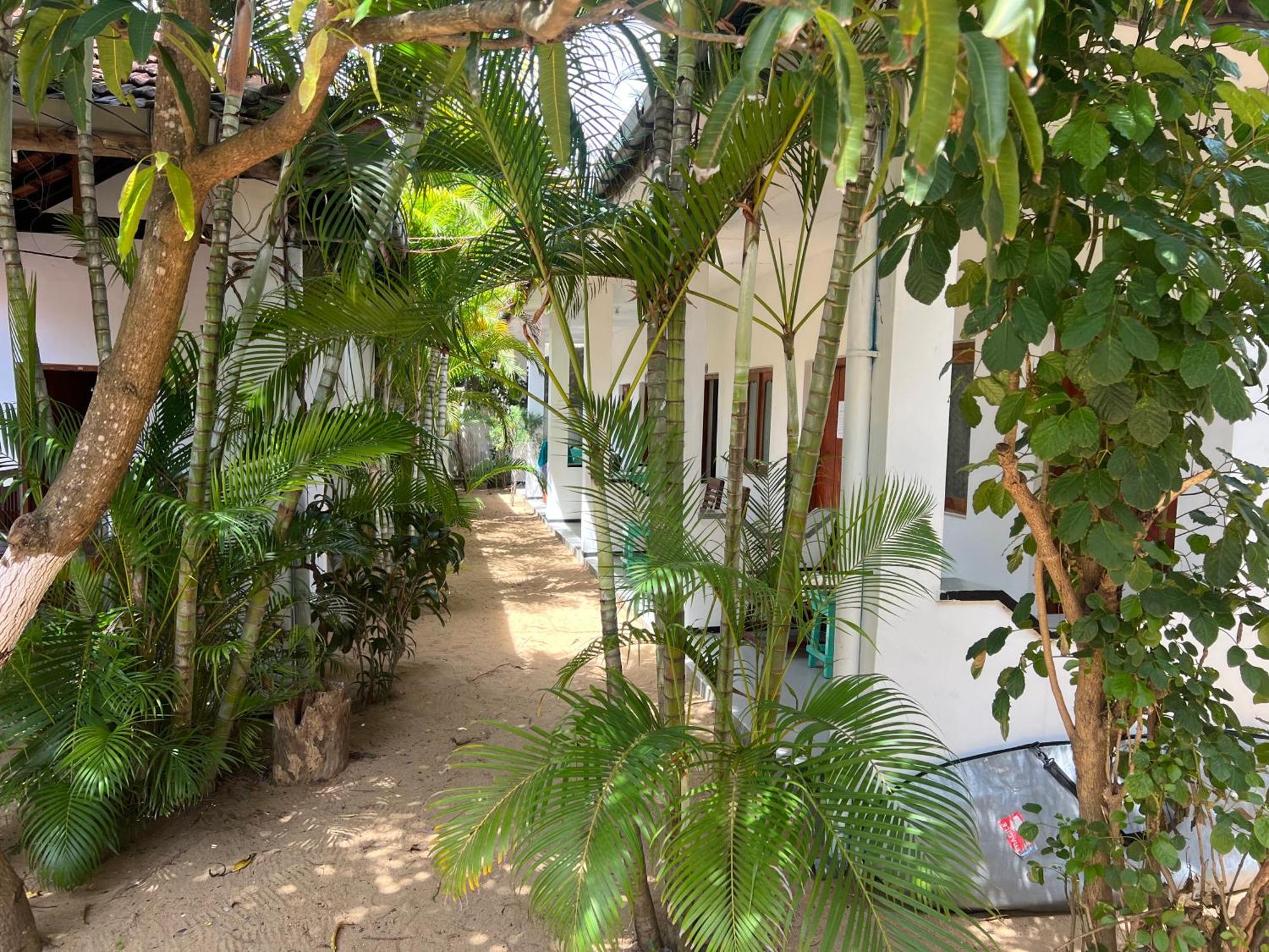 Hotel Moxy Bay Arugambay Arugam Bay Exteriér fotografie